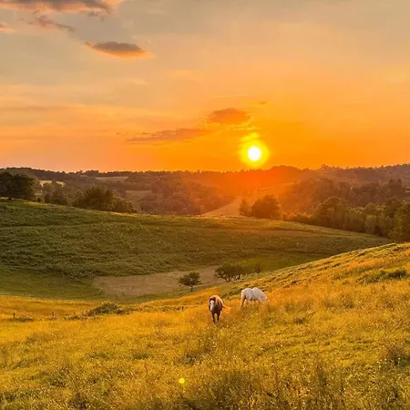 Homnest - Collines Emeraudes - 30 Min Pau *