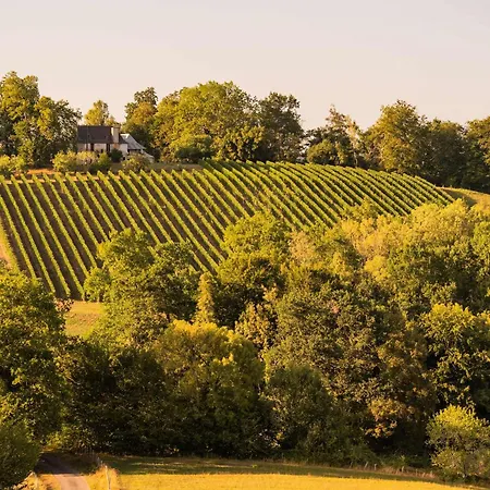 Hébergement de vacances Homnest - Collines Emeraudes - 30 Min Pau