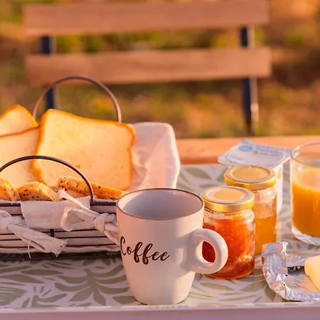 Hébergement de vacances Homnest - Collines Emeraudes - 30 Min Pau *