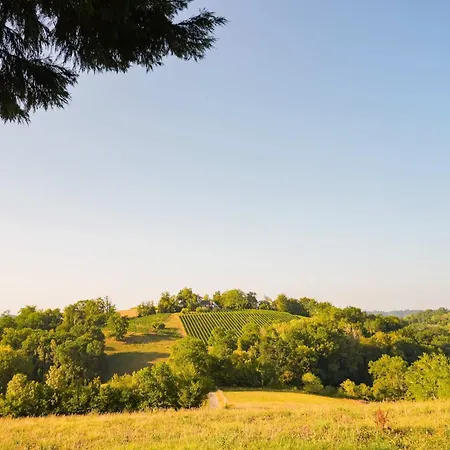 Homnest - Collines Emeraudes - 30 Min Pau