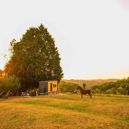 Homnest - Collines Emeraudes - 30 Min Pau
