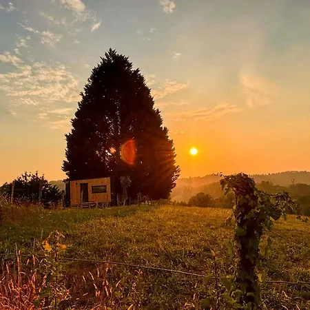 Homnest - Collines Emeraudes - 30 Min Pau *